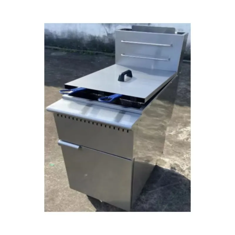 

Commercial Gas Fryer 2-tank Double Cylinder Fryer Stainless Steel Chicken Chips Deep Fryer
