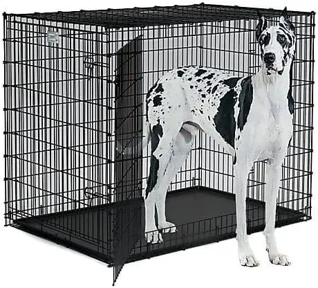 Imagem -04 - Double Door Crate For Dogs Centro-oeste Homes For Pets Sl54dd Ginormus Xxl para os Maiores Cães Great Danemastiffst. Henrique