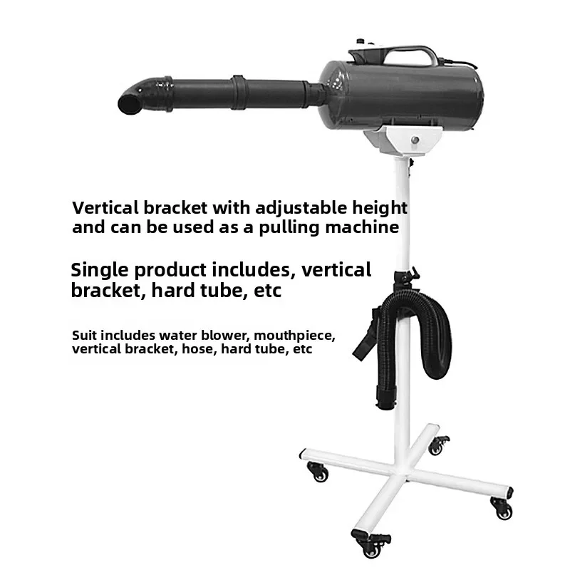 Haustier für große Hunde, Golden Retriever, Haartrockner für Hunde