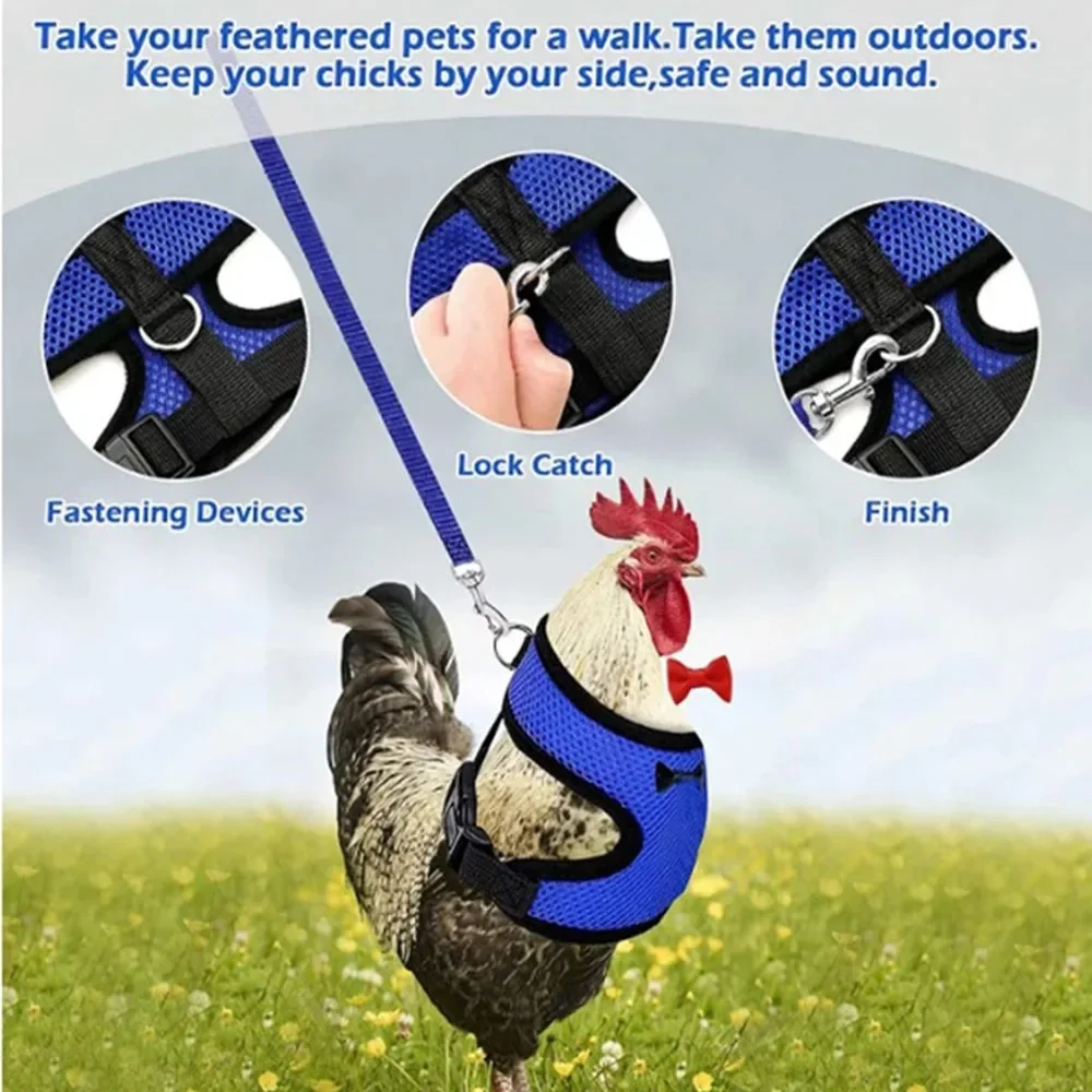 Pet vest belt Breathable chicken duck fashion mesh pet with chest back set pet plus traction chicken duck goose training walking