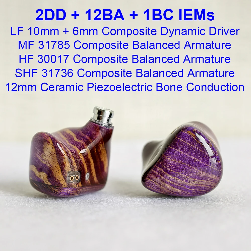 2DD+12BA+1BC IEM Earphones in Ear Monitors Earbuds HiFi Hybrid Headphones Bone Conduction Wired Headphone 2pin Detachable Cable