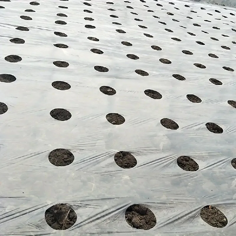 10M Pre-punched Hole Insulation Planting Cover Film Black Mulch Plastic Garden Greenhouse Agricultural Frost Protection Weeding