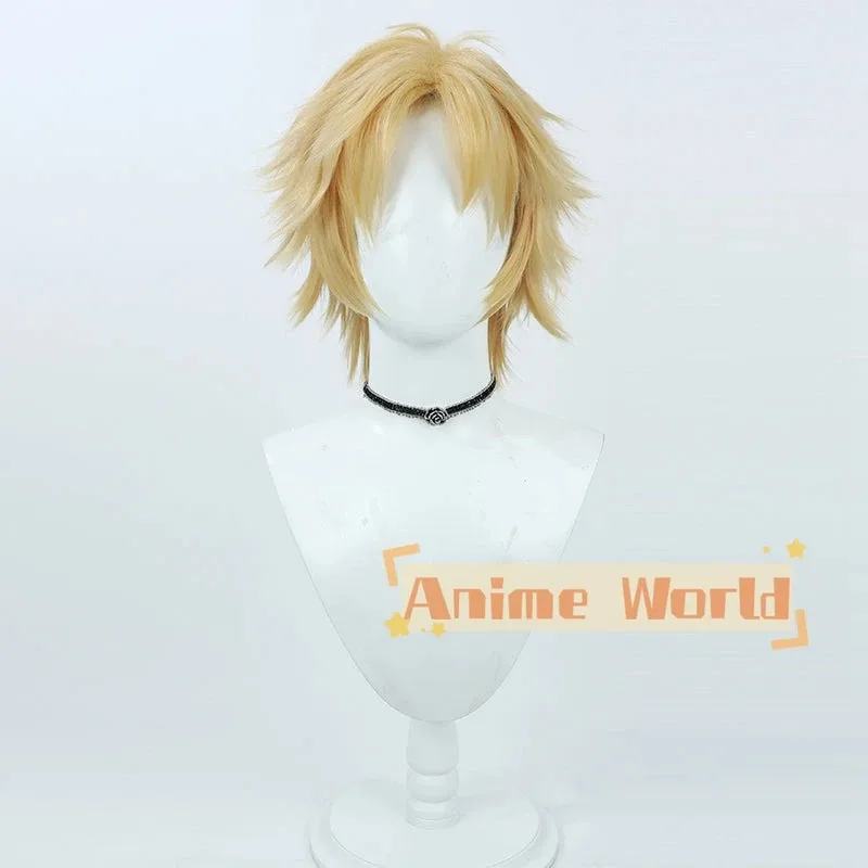

AAA 2025 Final Fantasy X Tidus Cosplay Wig Halloween Synthetic Hair Heat