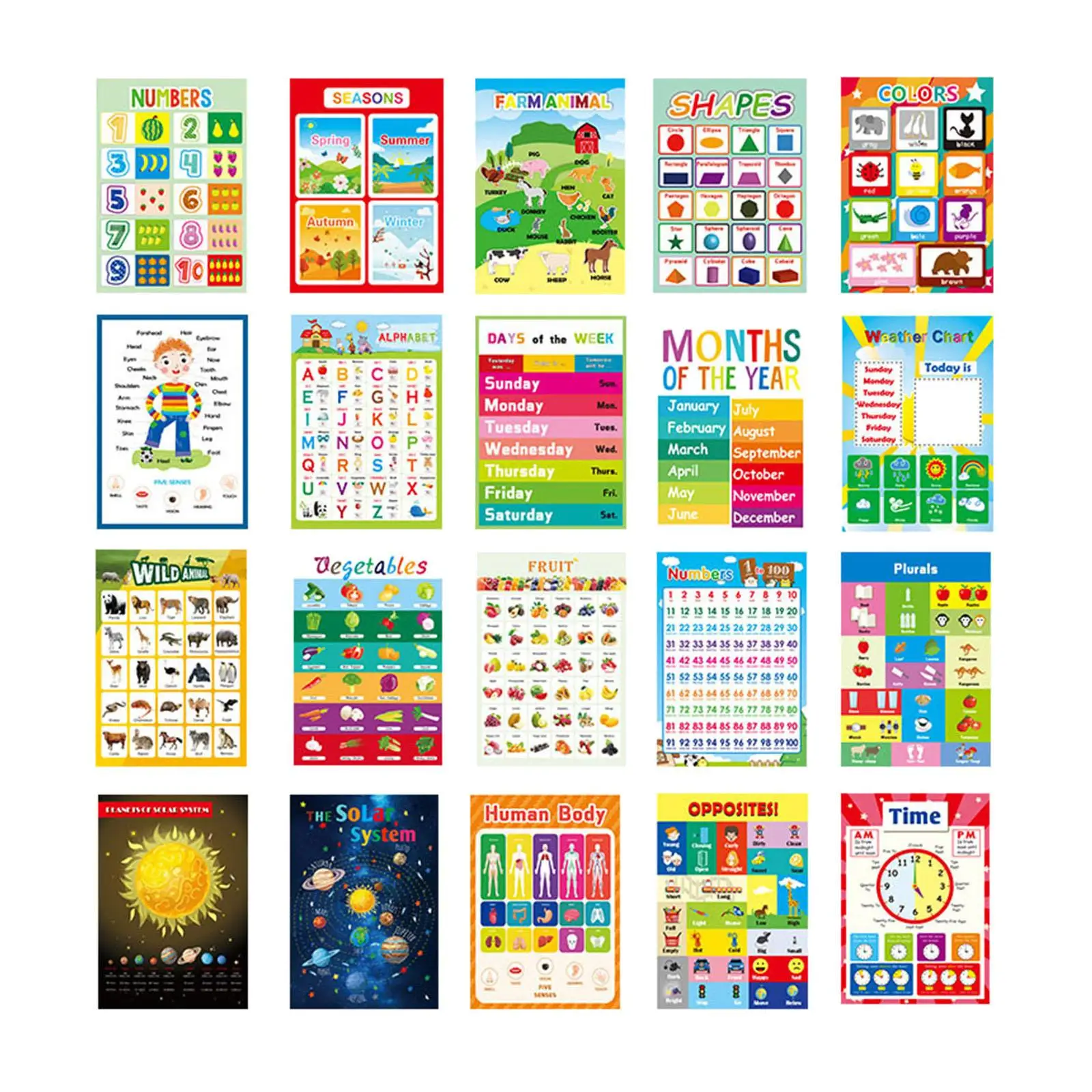 

20x Educational Posters Montessori Toys Homeschool Supplies Classroom Decoration