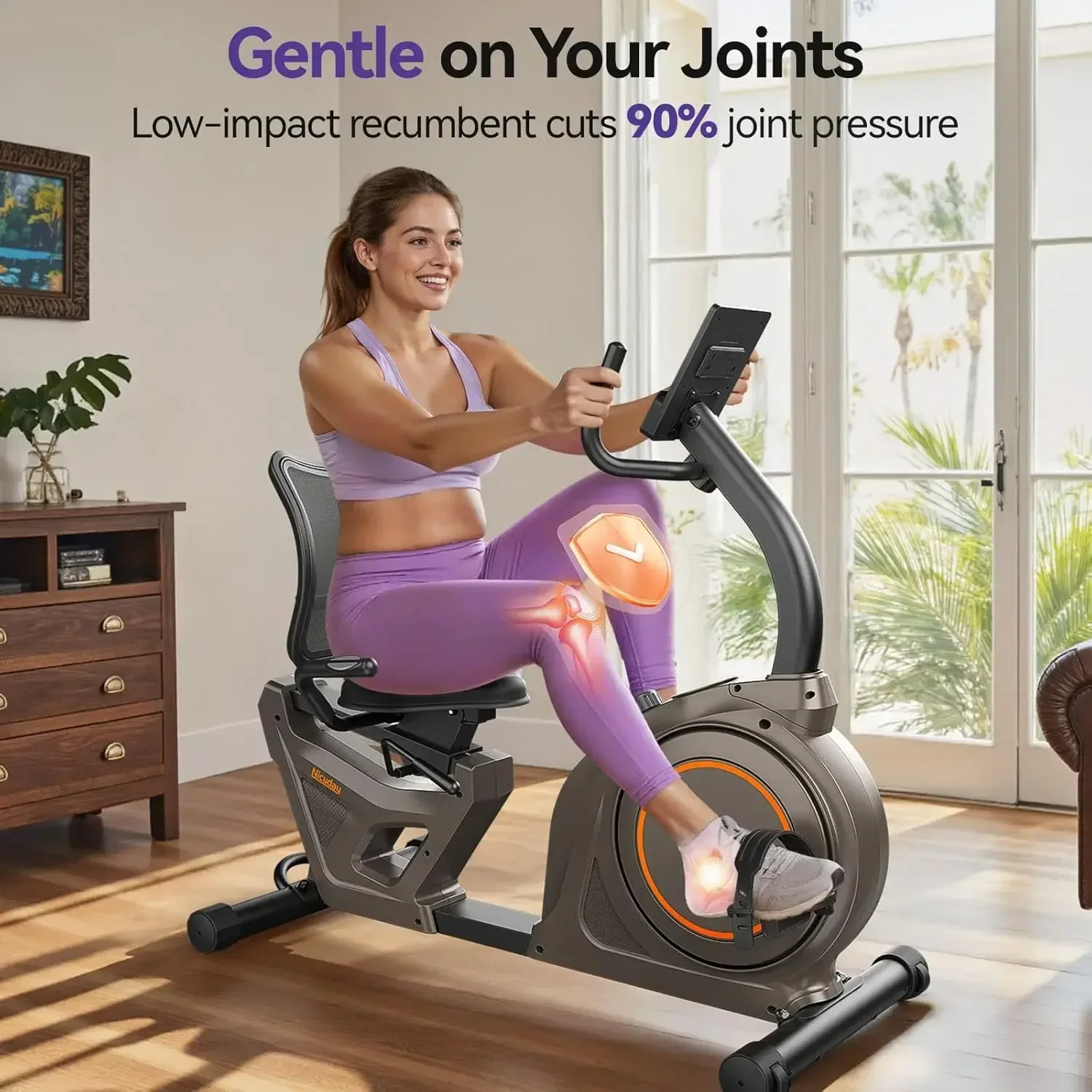 Recumbent Exercise Bike, Bike for Home, Stationary Bike 400LBS Weight Capacity, Magnetic