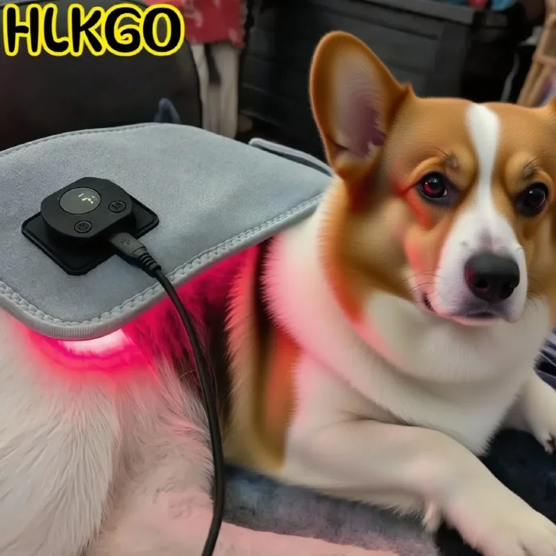 

Профессиональное ветеринарное устройство для холодной лазерной терапии для собак, инфракрасный светотерапия, пояс для терапии красным светом