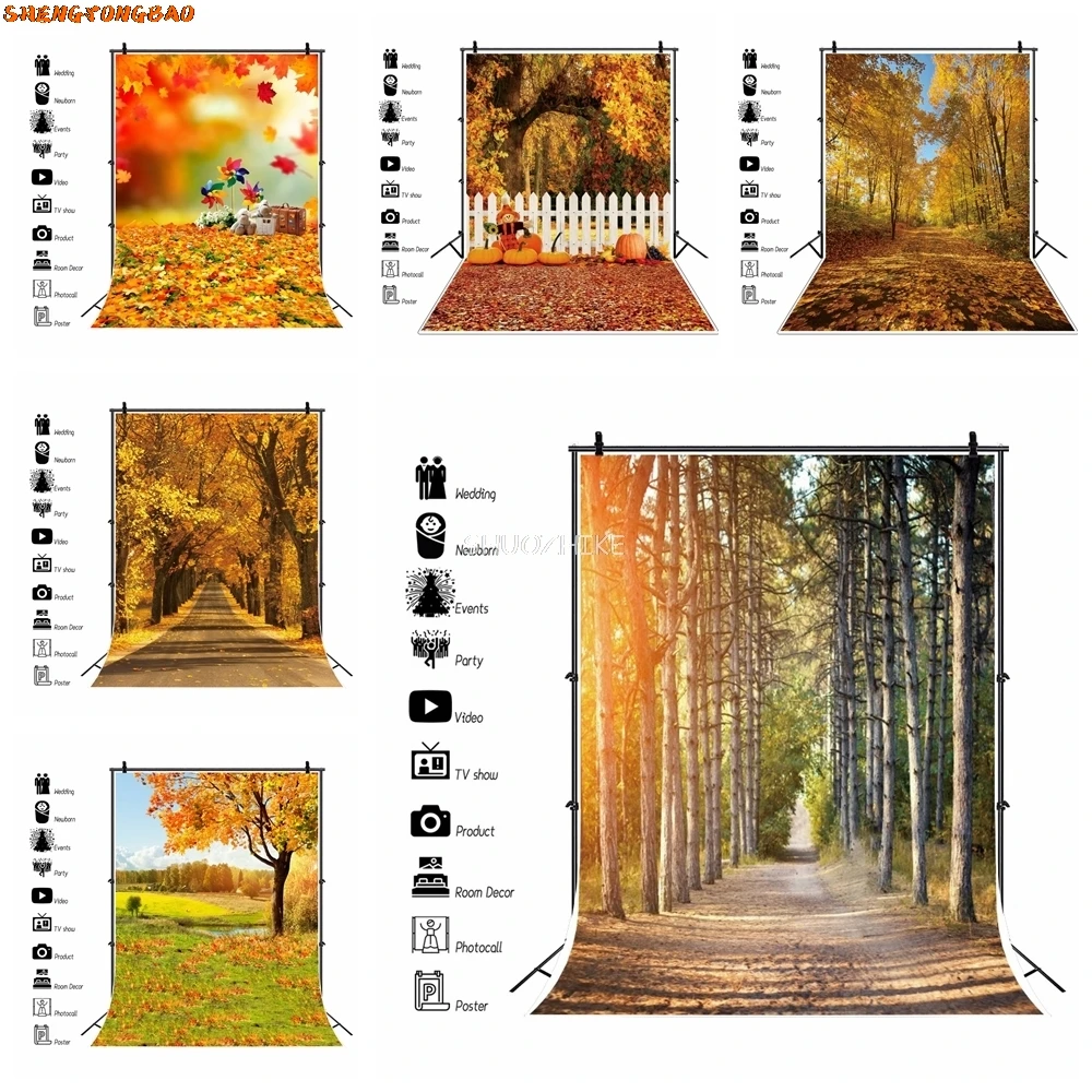 

Autumn Forest Old Tree Field Path Sunshine Natural Landscape Photography Background Fallen Leaves Photo Backdrop Photo Studio