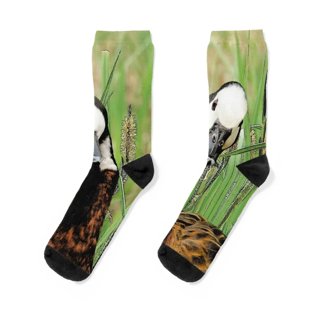 Whistling Duck Socks compression Climbing loose kawaii Mens Socks Women's