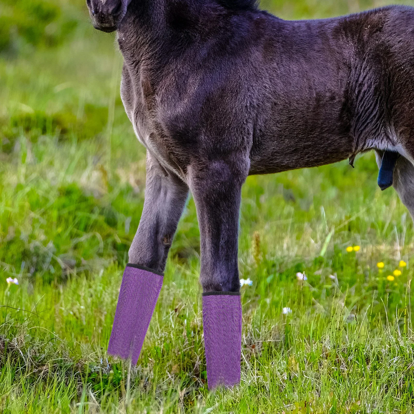 

4Pcs Protective Horse Boots Reusable Lightweight Leg Covers Outdoor Riding Comfortable Breathable Design Compact Fit