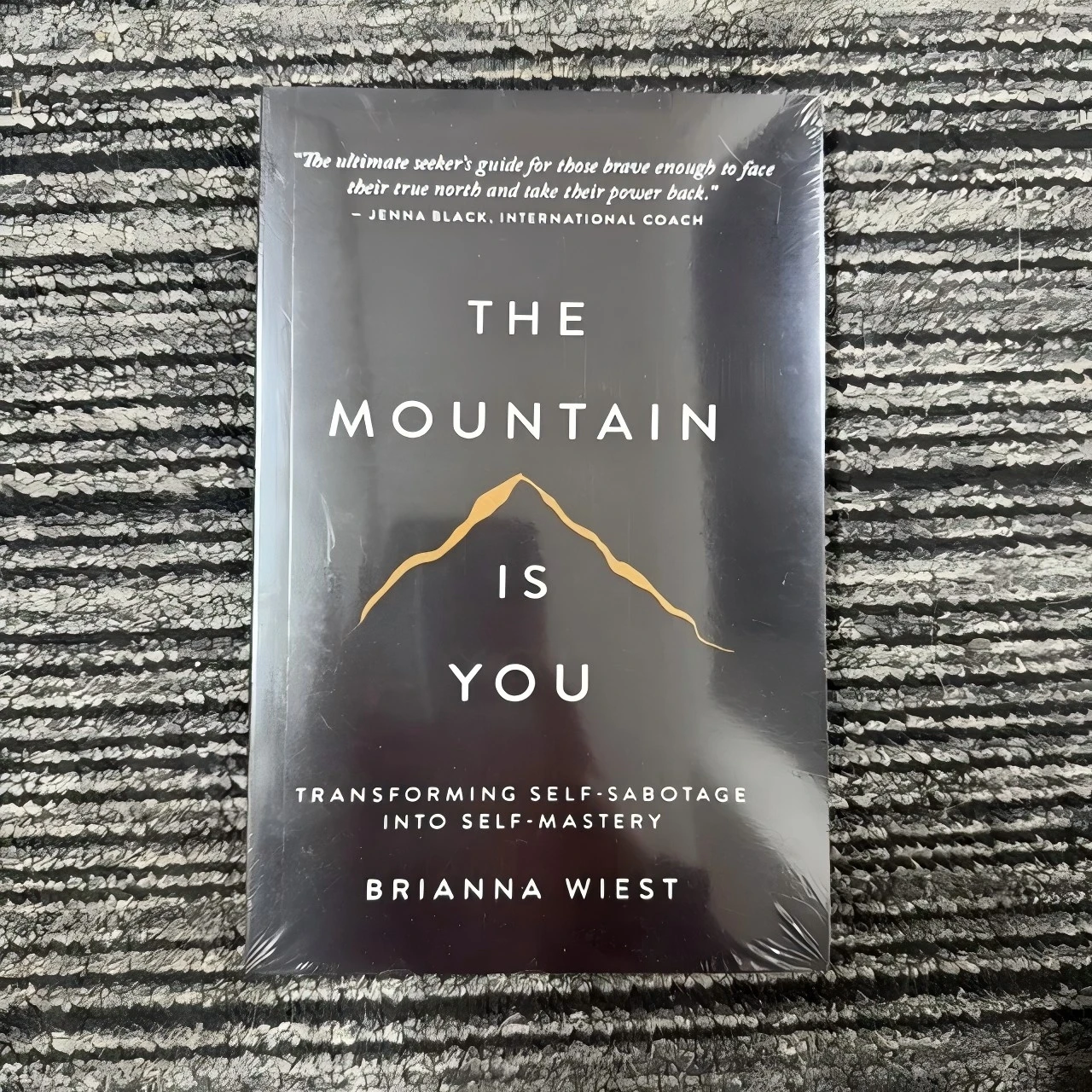 

The Mountain Is You: Transforming Self-Sabotage Into Self-mastery English Books