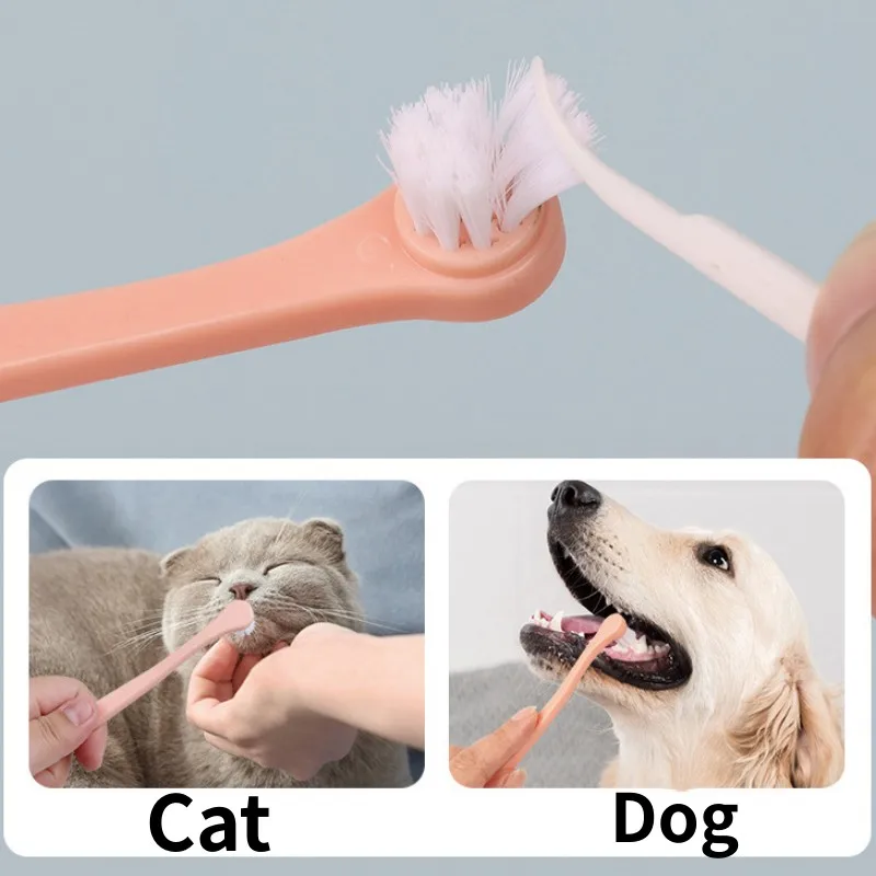 Brosse à dents à petite tête pour animaux de compagnie, chien, chien, livres de dents, soins bucco-dentaires, chiot, long manche, chat, brosse à