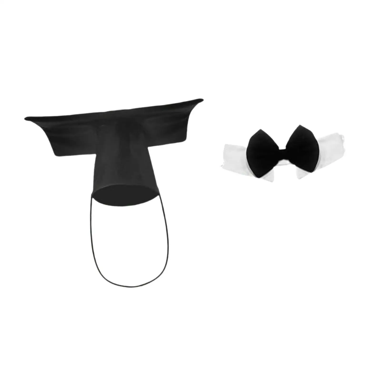 Graduation Goose Outfit Fits 23