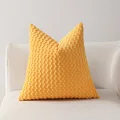 A PILLOWCASE ONLY