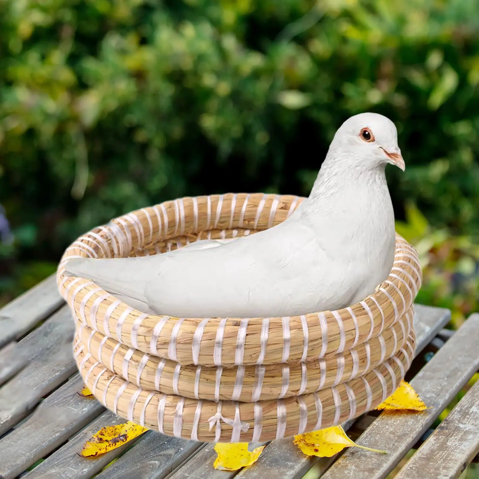 Bird Nest Bird Hous… - image