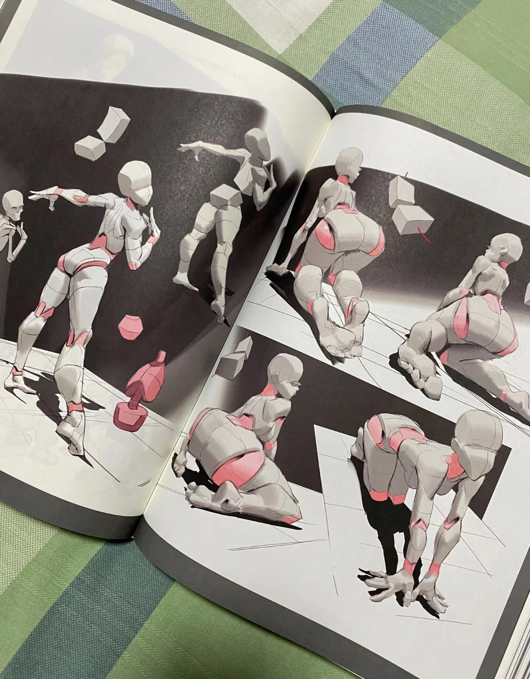 Special Training on Animation Human Body Structure Expression Techniques Anime Manga Figure Drawing Book with Practice Workbook