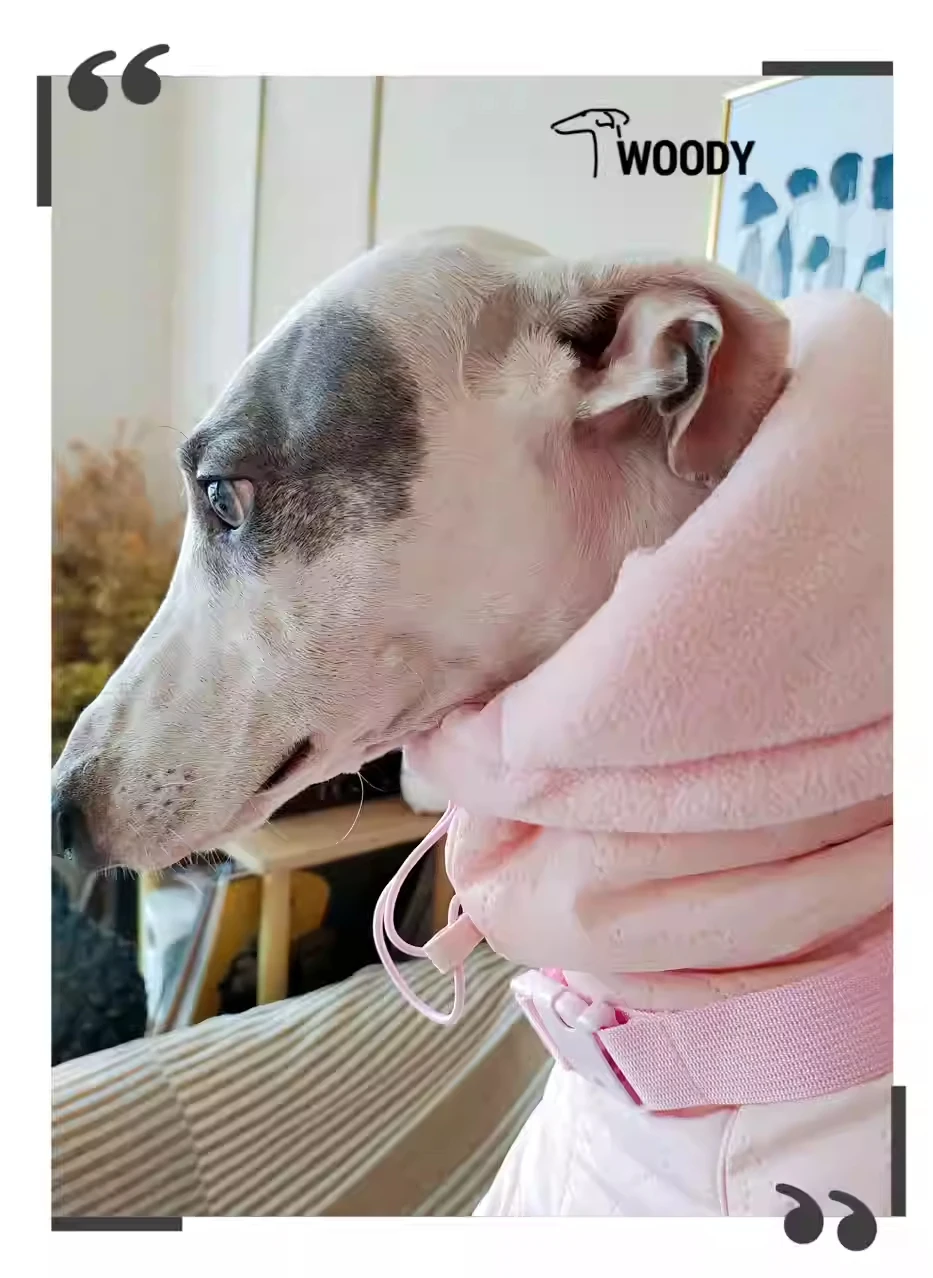 Winter Super-thick Girl Whippet Pink Clothes Quilted Turtle Collar Dog Coat Warm Italian Greyhound Adjustable Cotton Jacket