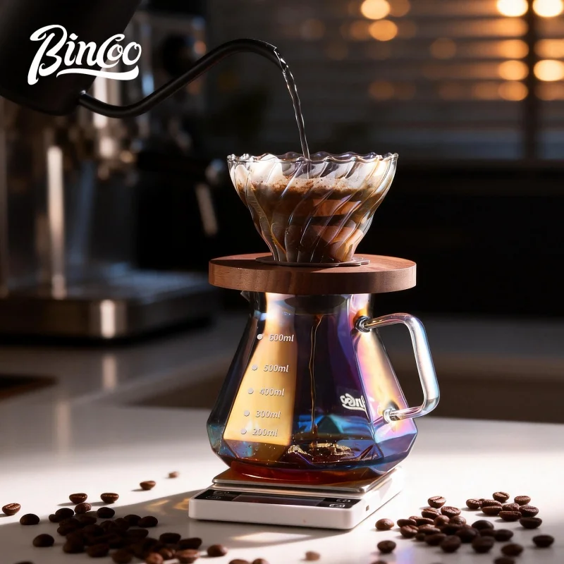 Bincoo Pour-Over Coffee Glass Server, Filtering Carafe, Dripper, and Coffee Maker Set, Heat-Resistant, for Home Brewing In Stock