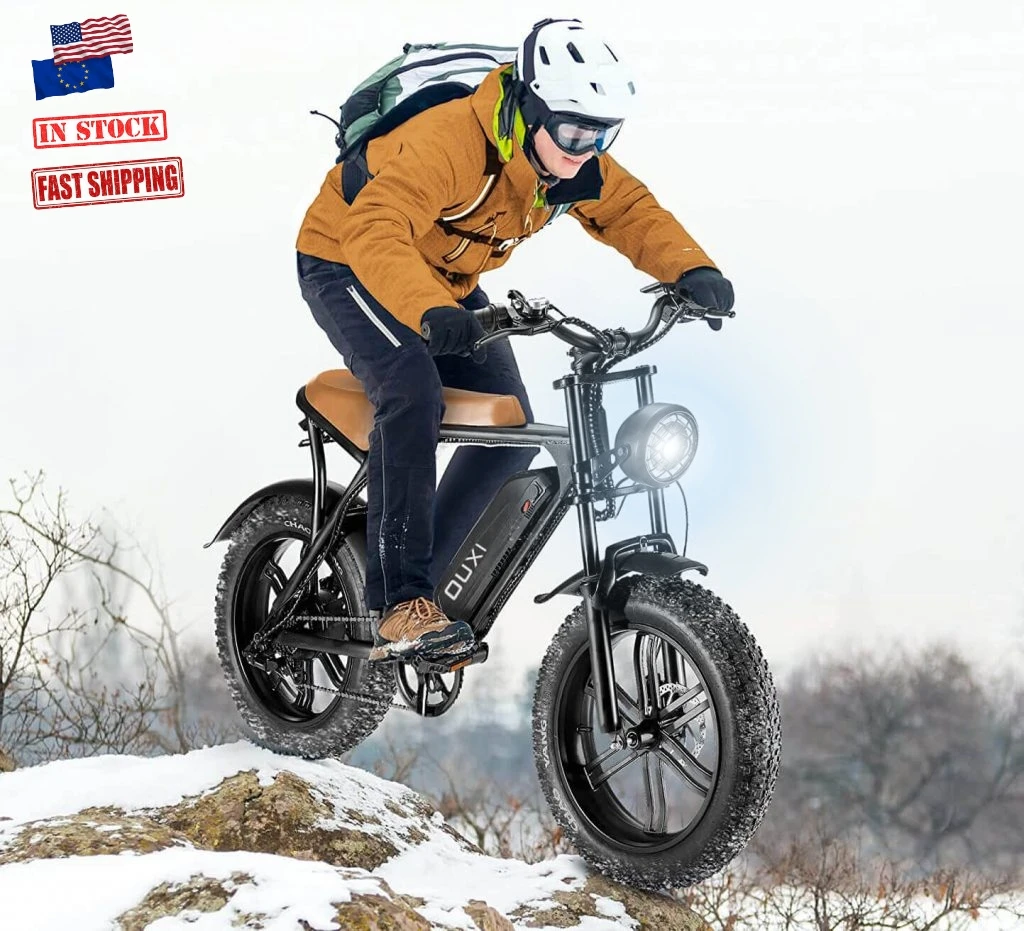 

EU/USA warehouse dropshipping V8 1000w 50km/h electric bicycle 20inch fat tire mountain electric bike 250w retro e fat bike