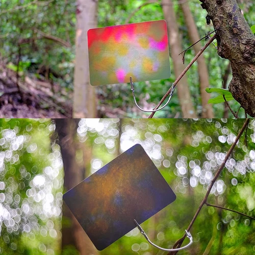 Tarjeta de fondo de herramientas de fotografía Macro, color degradado, colorido, 12 piezas, 24 colores, fotografía macro de flores e insectos