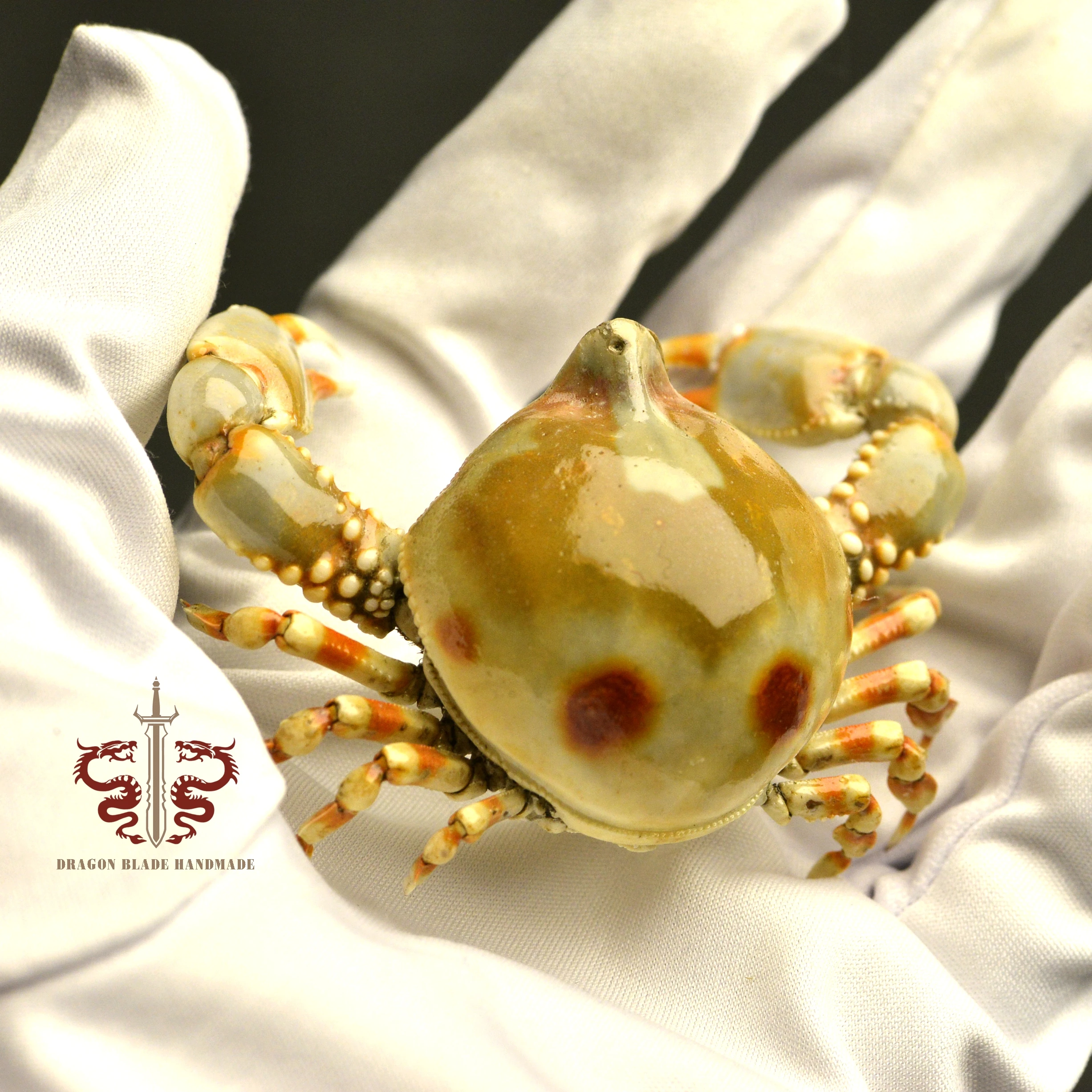 Crab specimen Coleusia huilianae, museum-quality taxidermy & display box, Collection Home Decor Ornament Desk Decoration