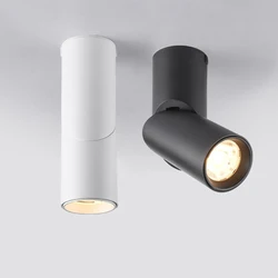 LED Dimmable Downlights 10W 15W 20W 24W Surface Mounted Ceiling Lamps Spot Light Warm /Natural /Cold White AC 85-265V