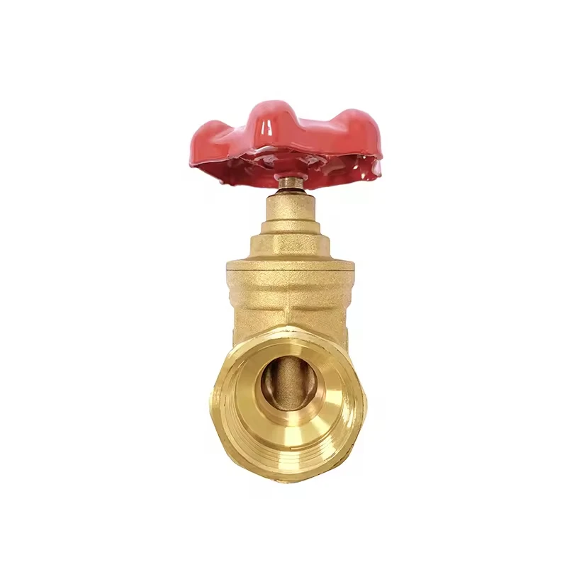 DN40 Pn16 Miniature Gate Valve with Manual Structural Threaded Brass Check Valve for Water Piping and Irrigation