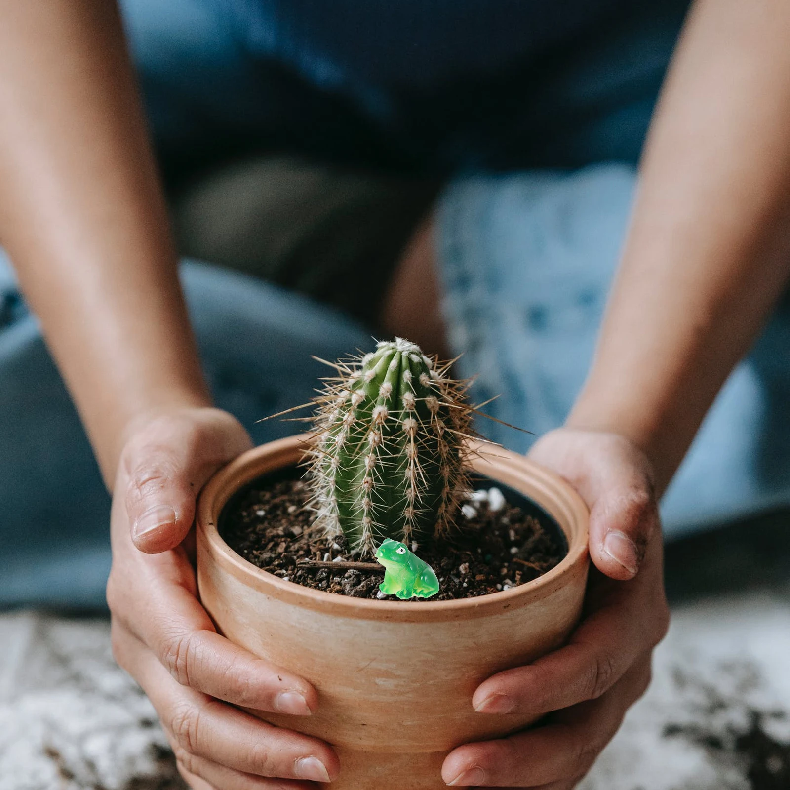 

Frog Resin Ornaments Durable Miniature Decor Bright Colors Succulents Garden Fence Potted Plants Outdoor Landscape
