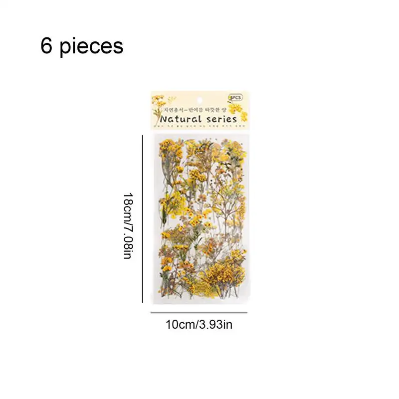 สติกเกอร์ดอกไม้วินเทจสติกเกอร์ดอกไม้ตกแต่ง Retro Decals ธรรมชาติ 6 แผ่นสัตว์เลี้ยงสติกเกอร์ดอกไม้ DIY พืชและดอกไม้