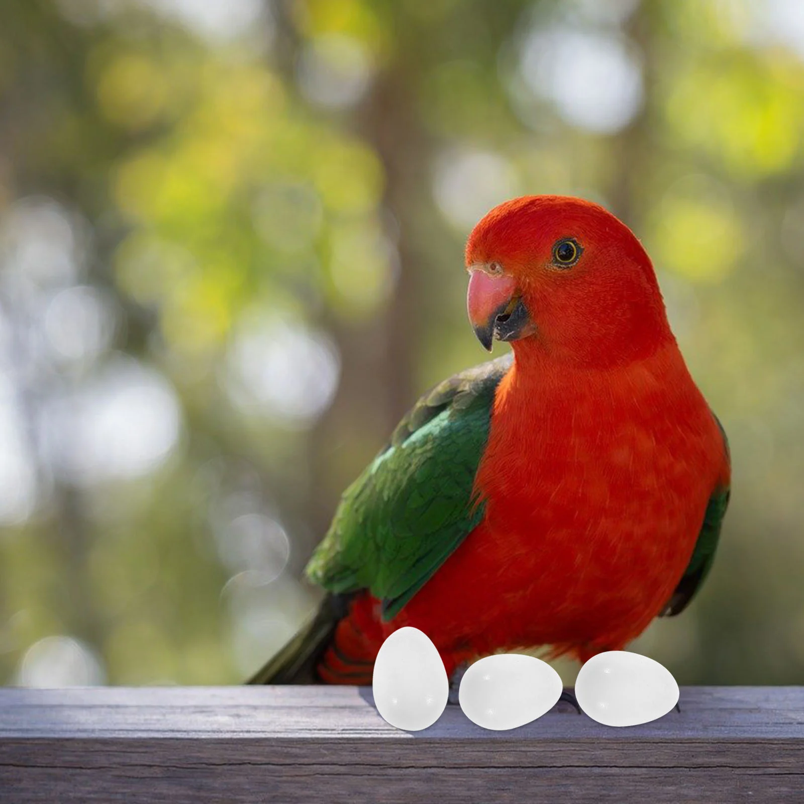 

30 Pcs Parrot Fake Eggs High Realism Artificial Laying Aids Bird Craft Accessories Hatching Tools Breeding Supplies training aid