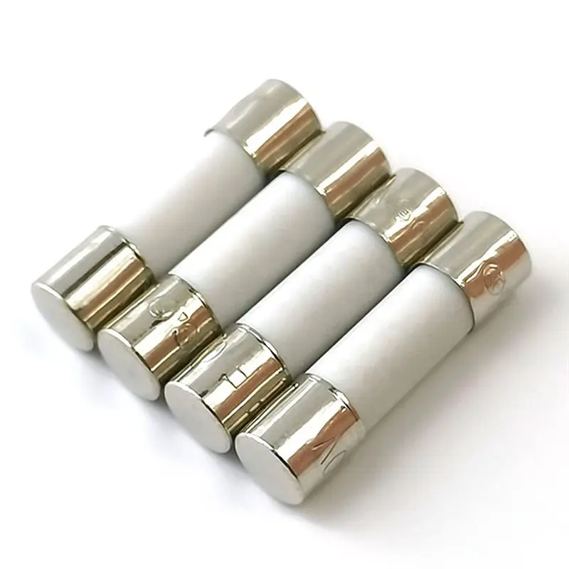 100Pcs Tube Fuses 5X20mm Fast-Blow Slow-Blow 250V For Circuit Protection