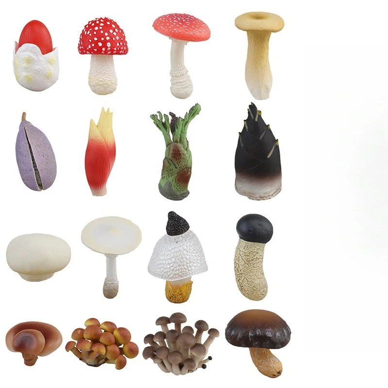 

Набор для изучения цикла жизни фруктов, овощей и грибов: развивающая научно-образовательная игрушка-модель для детей