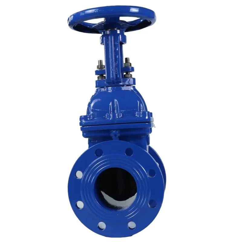 2026BS5163 API609 DN200 PN16 Cast Ductile Iron Elastic Valve Seat sealed Rising Stem Flange Gate Valve