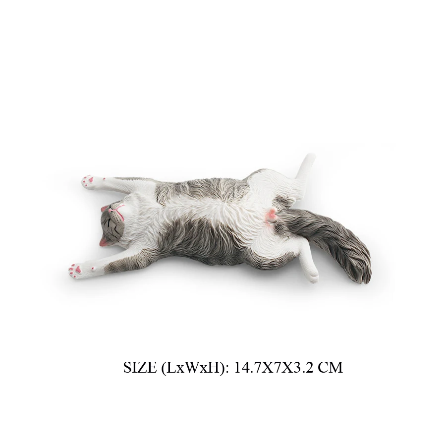 Cat -43