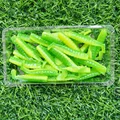 XZ018 50PCS 04