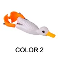 Color 2