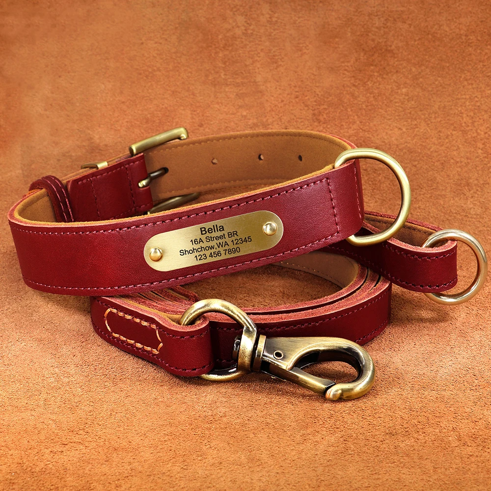 Personalisierte Hundehalsband-Leine aus echtem Leder, langlebige Hundehalsbänder, Gehbleine, Seil, frei mit Gravur für kleine, mittelgroße und große Hunde – Detail 32