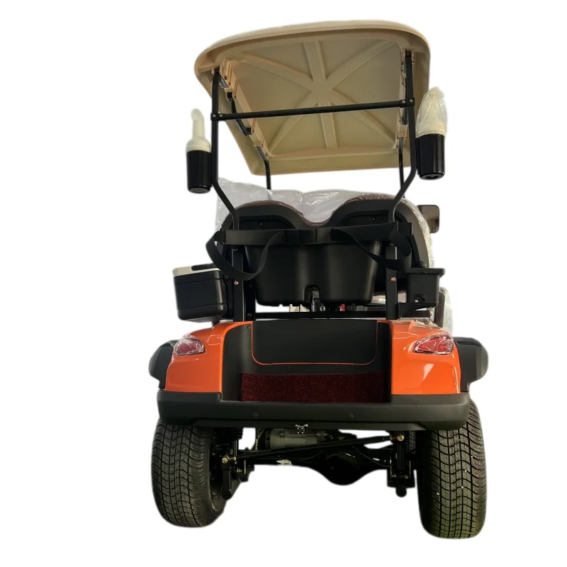 Golf Cart 2 Seats With Ball Holder 60V Lithium Battery 14 Inch Road Tire Sightseeing Solar Practical 2 Seat Golf Cart