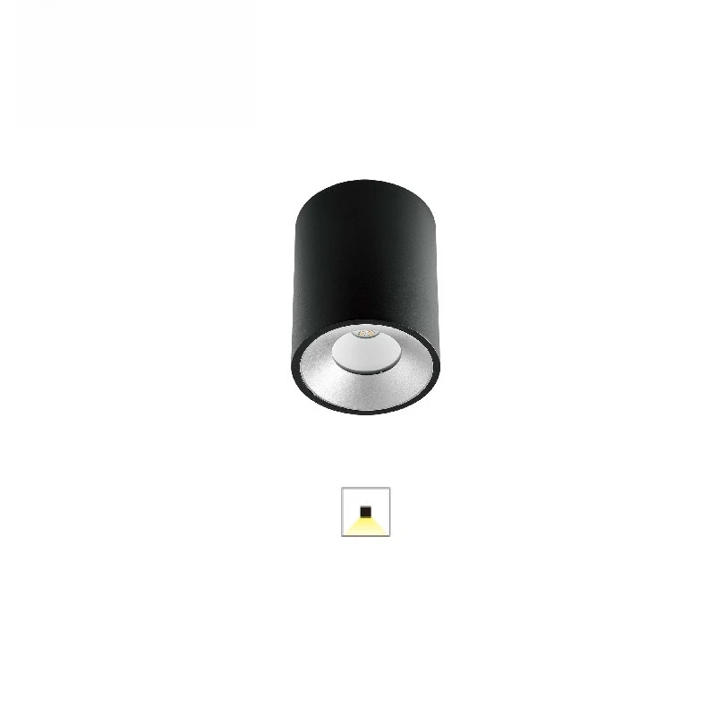 LED ceiling  ceiling mount , die-cast aluminum COB LED outdoor , round light, ceiling mount