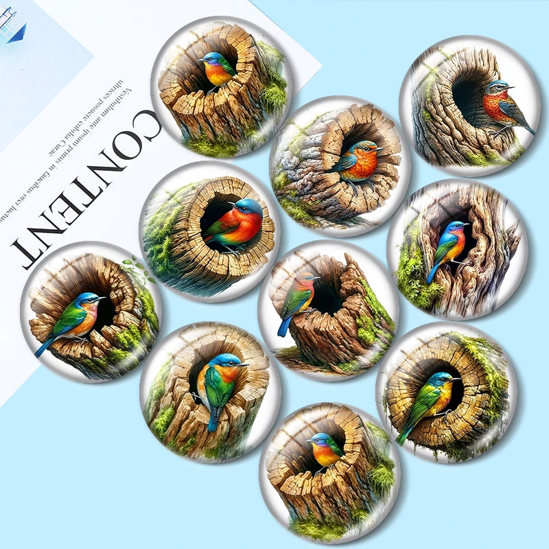 Natural Birds 12/18/20/25mm glass cabochon  bracelet pendant rings for jewelry demo earrings back Making findings