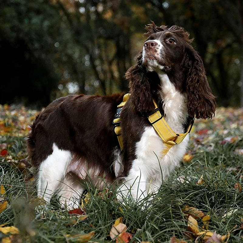 Thumbnail 4 - #13 New Dog Car Safety Harnesses Arrivals