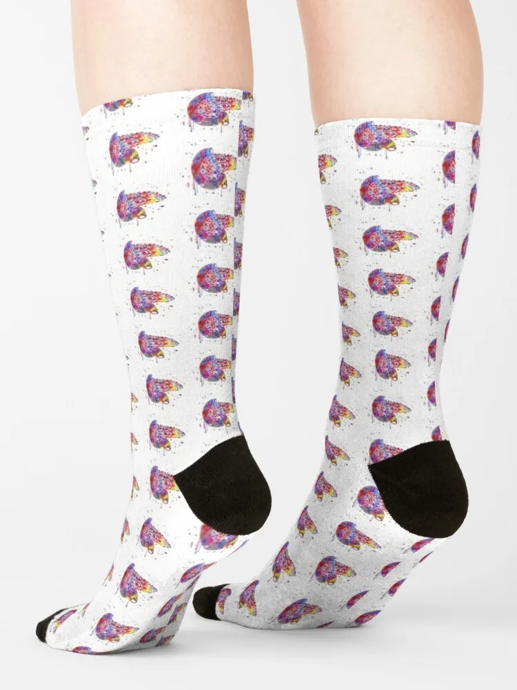 Pancreas Socks Sports Socks Man
