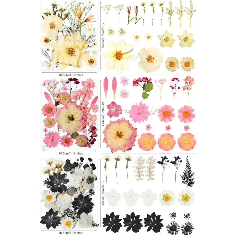 레진 공예용 건조 압화 320개 대량, 진짜 천연 압화와 두 장의 나비 스티커 포함, 이상적인 선택