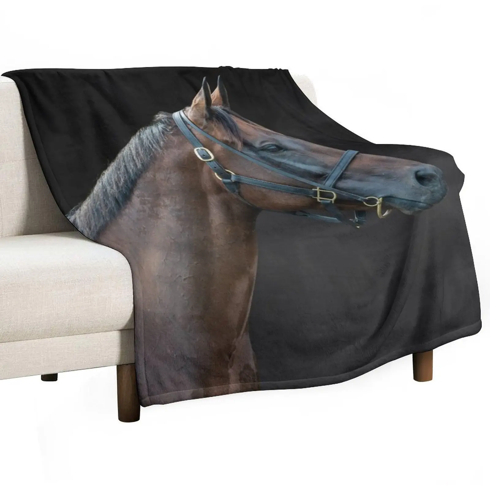 Winx - Colour - The Rosehill Farewell Throw Blanket Thin decorative Cute warm winter Luxury Brand Hairys Blankets