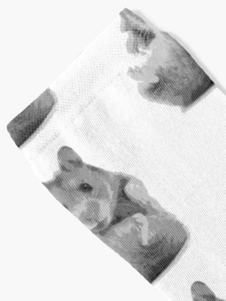 Hamster Socks tennis christmas stocking summer Socks Female Men's