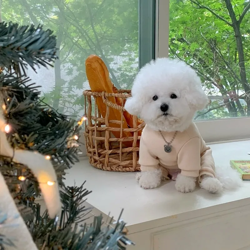 

Maltese Jumpsuits Pet Summer Four Legged Clothes Teddy Letter Print Pullover Bichon Sweatshirt Soft Dog Clothes