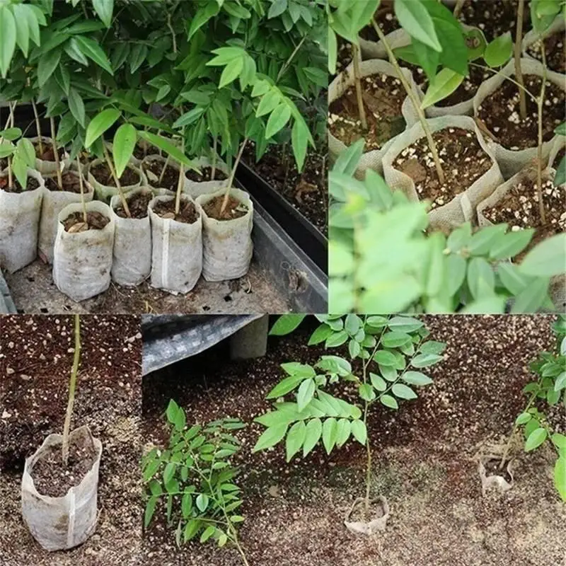 100Pcs Biodegradable Nursery Bag Plant Grow Bags Non-woven Fabric Seeds To Sow Flower Pots For Home Garden Accessories Tools