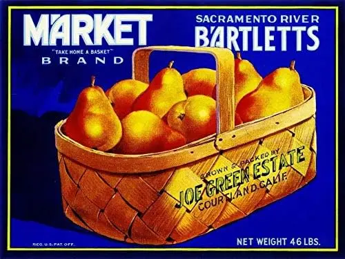 M1,Tymall Wall Art … - image