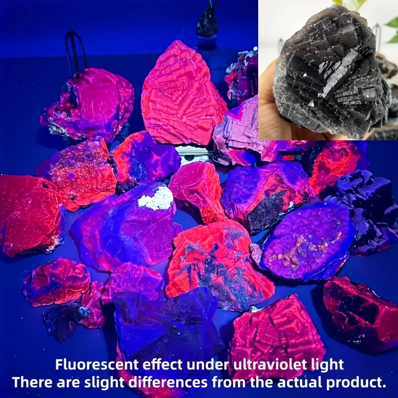 1pc Natural Black Rose Fluorite | Reactive under Blacklight, Raw Mineral Specimen with Vibrant Purple Fluorite & Clear Quartz