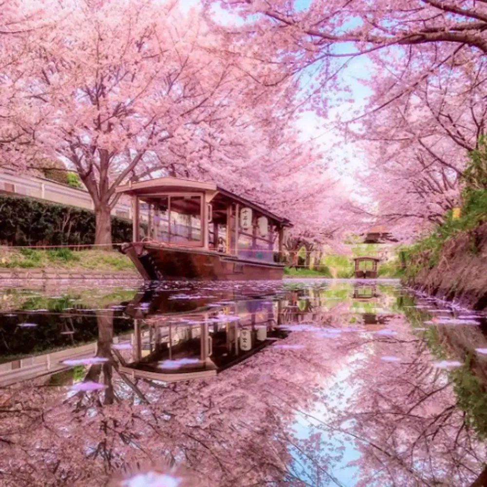 

1 PCS 6m long Printhead cleaning set wiper for Epson surecolor F2000 F2100 F2080 F2180 S30600 S40600 S40610 B9080 printer