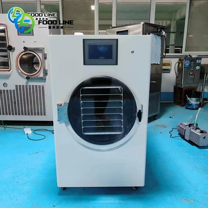 Household Freeze Dryer Machine Energy Efficient Design Save Electricity Home Food Drying Equipment Support Customized view 3